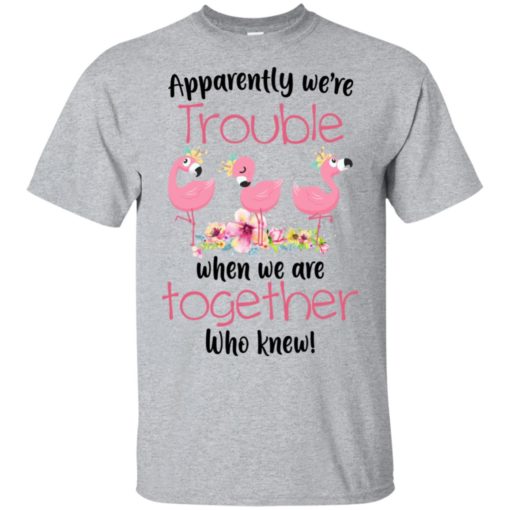 redirect 4591 Flamingo Apparently we’re trouble when we are together who knew shirt