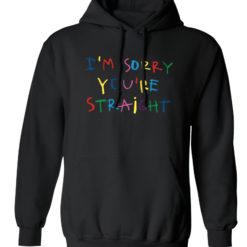 I'm sorry you're straight hoodie
