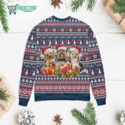 Back 72 2 11 Three lovely yorkshire dog with Christmas sweater