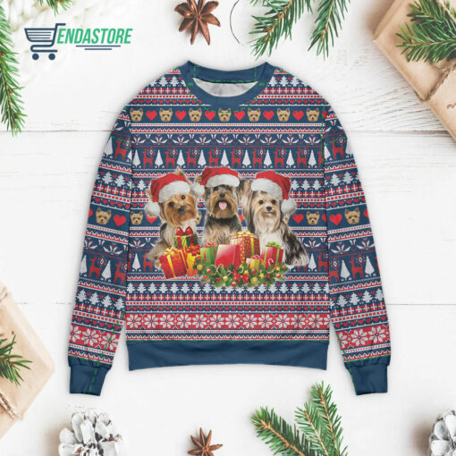 Front 72 2 10 Three lovely yorkshire dog with Christmas sweater