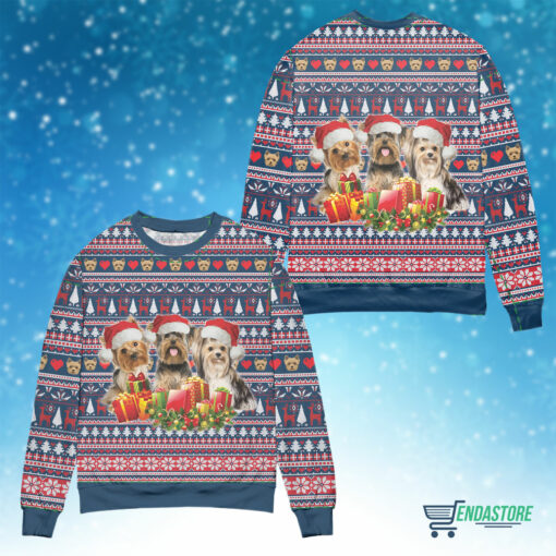 Front Back 2 10 Three lovely yorkshire dog with Christmas sweater