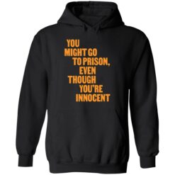 endas You Might Go to Prison Even Though Youre Innocent 2 1 You might go to prison even though you're innocent sweatshirt
