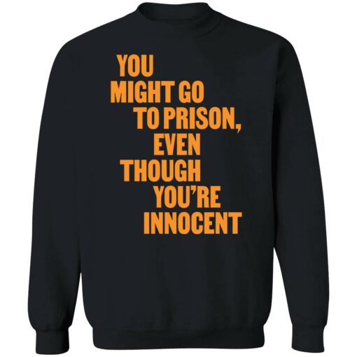 endas You Might Go to Prison Even Though Youre Innocent 3 1 You might go to prison even though you're innocent shirt