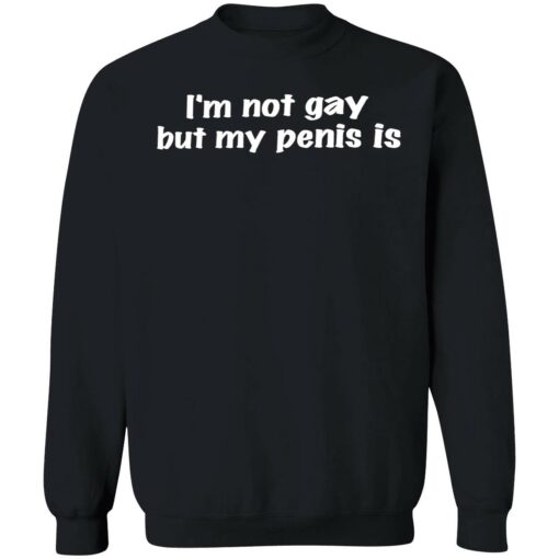 up het im not gay but my penis is 3 1 I’m not gay but my penis is hoodie