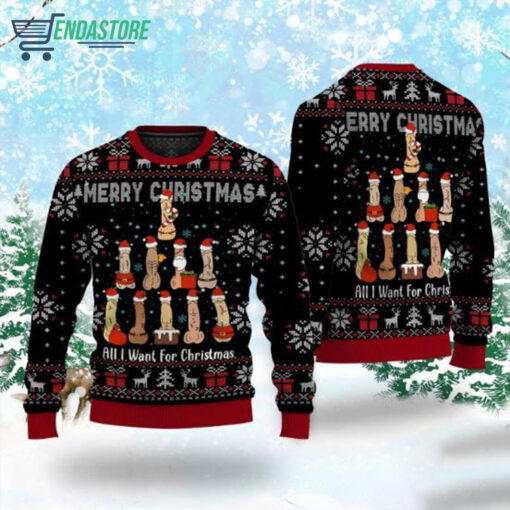 2 28 Dirty all i want for Christmas sweater