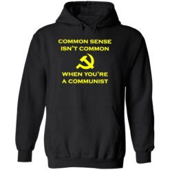 endas common sense isnt common 2 1 Common sense isn't common when you're a communist shirt