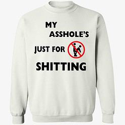 up het my asshole just for sitting shirt 3 1 A**hole Just For Sh*tting Hoodie