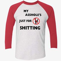 up het my asshole just for sitting shirt 9 1 A**hole Just For Sh*tting Hoodie