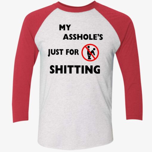 up het my asshole just for sitting shirt 9 1 A**hole Just For Sh*tting Hoodie