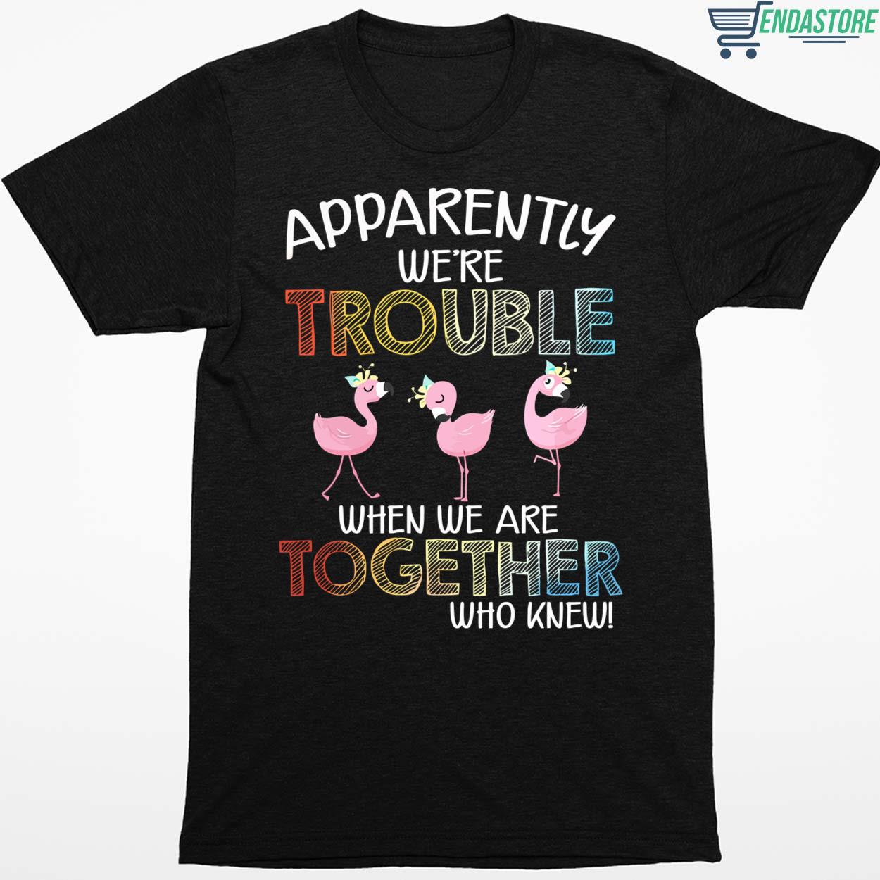 Flamingos Apparently We're Trouble When We Are Together Who Knew Hoodie ...