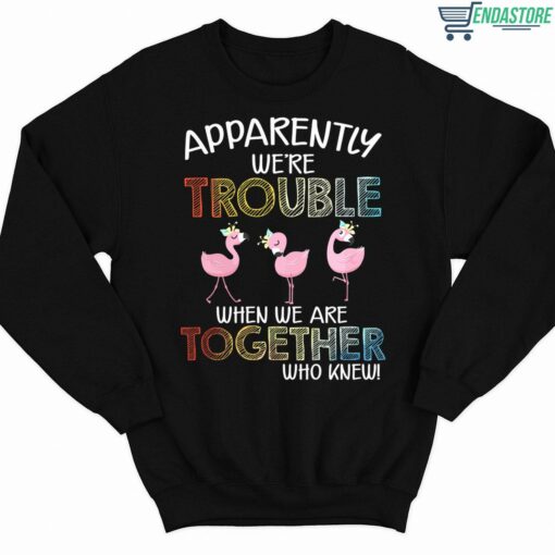 Flamingos Apparently Were Trouble When We Are Together Who Knew Shirt 3 1 Flamingos Apparently We're Trouble When We Are Together Who Knew Shirt