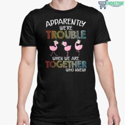 Flamingos Apparently Were Trouble When We Are Together Who Knew Shirt 5 1 Flamingos Apparently We're Trouble When We Are Together Who Knew Shirt