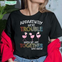 Flamingos Apparently Were Trouble When We Are Together Who Knew Shirt 6 1 Flamingos Apparently We're Trouble When We Are Together Who Knew Shirt