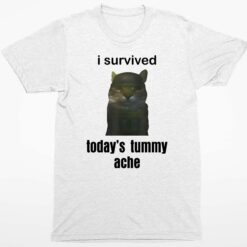 I Survived Todays Tummy Ache Shirt 1 white I Survived Today's Tummy Ache Hoodie